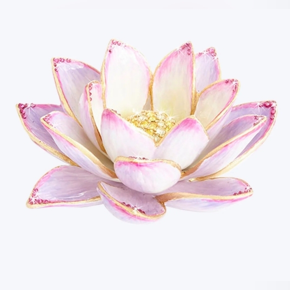 Jay - Picture 7 of 7